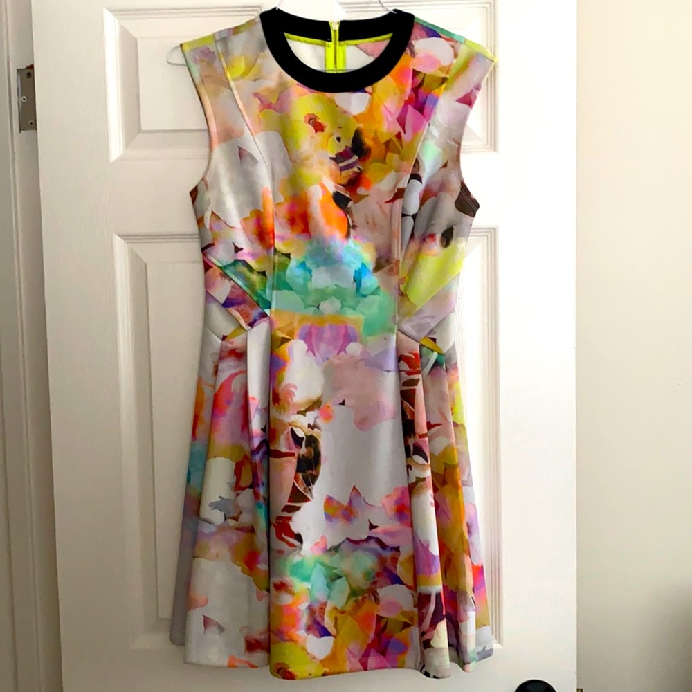 COPY - Ted Baker Dress